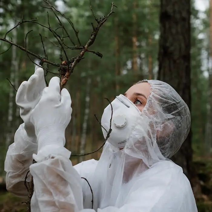 Geography graduate working in woods