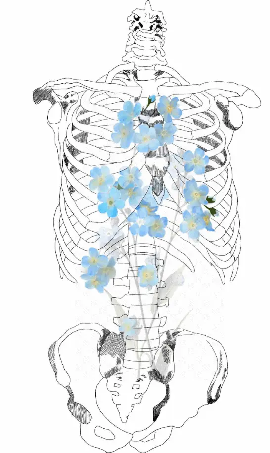 An artistic illustration of a skeletal structure adorned with delicate blue flowers, blending anatomy and nature.