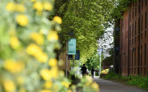 Spring on campus