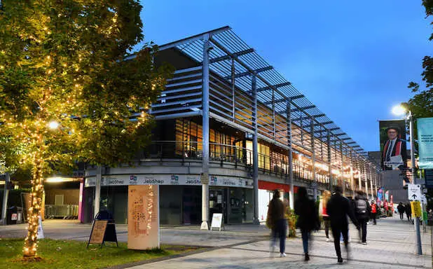 Evening on campus