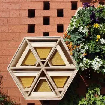 Beekeeping image